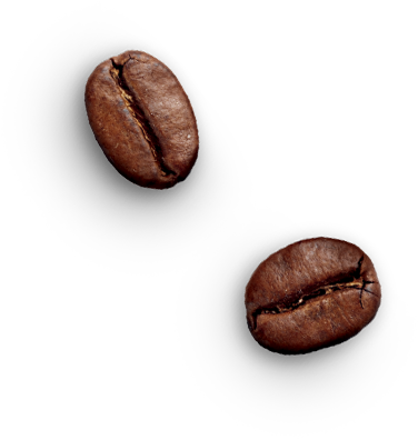 beans 1
