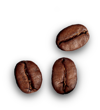 beans 2
