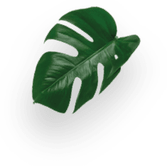 INFINISSIMA - RED decoration Image